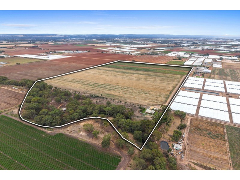 166 Robinson Road, Virginia SA 5120