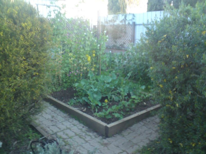 12 Eighteenth Street, Gawler South SA 5118