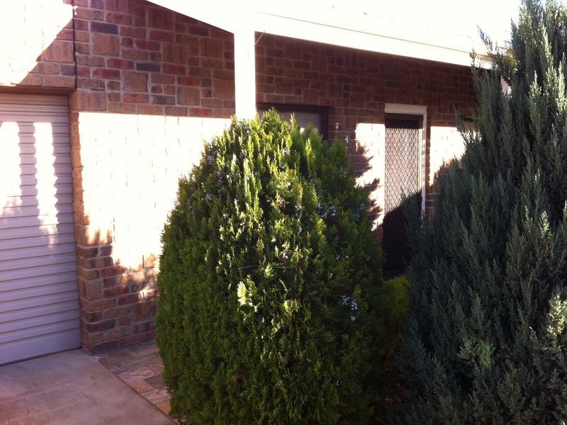 4 I Ayling Street, Willaston SA 5118