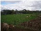12 WILLIAMS ROAD, Two Wells SA 5501