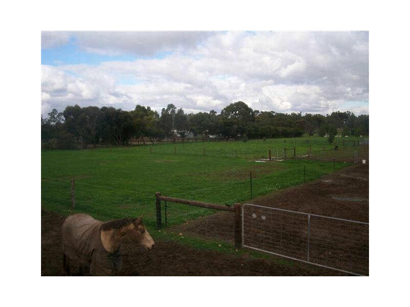 12 WILLIAMS ROAD, Two Wells SA 5501