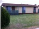 51 Hanson Street, Freeling SA 5372