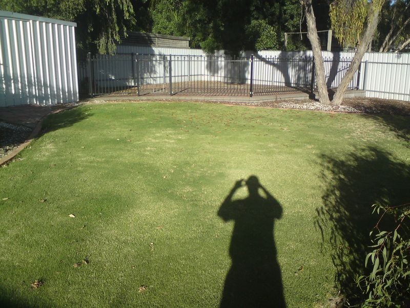 13 Mitchell Court, Williamstown SA 5351