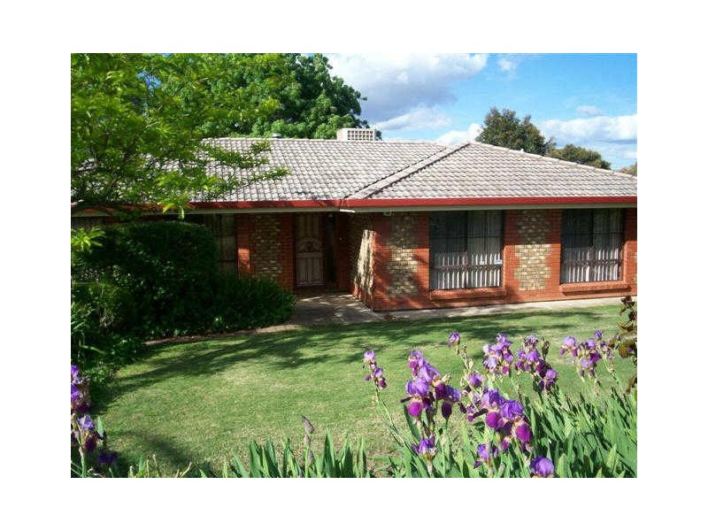 3 MENGE COURT, Lyndoch SA 5351