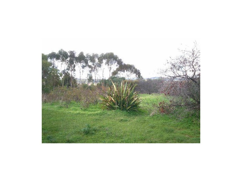 8 RUSHALL ROAD, Lyndoch SA 5351