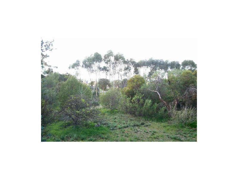 8 RUSHALL ROAD, Lyndoch SA 5351