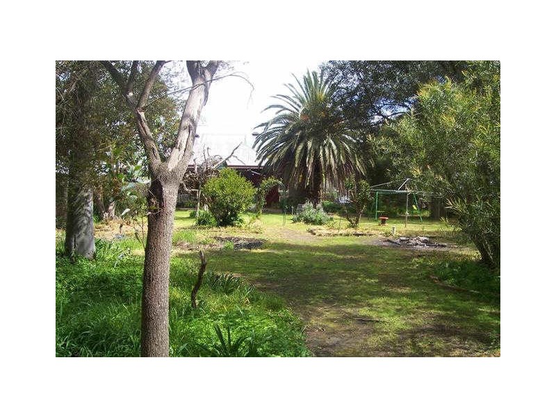 31 LYNDOCH VALLEY ROAD, Lyndoch SA 5351