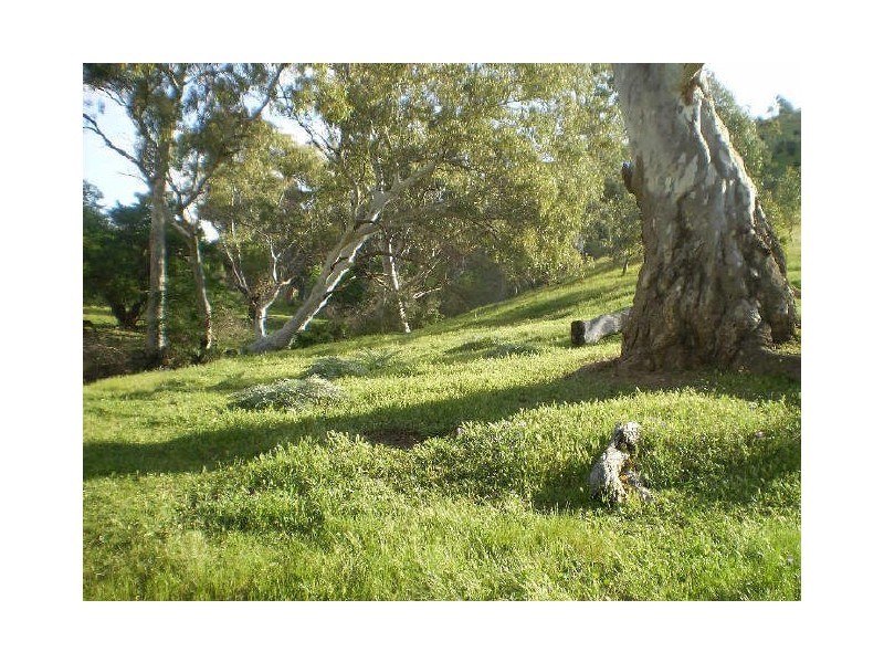 LOT 11 GAWLER ONE TREE HILL ROAD, Yattalunga SA 5114