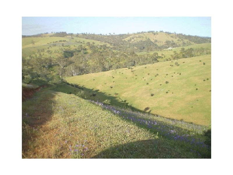 LOT 11 GAWLER ONE TREE HILL ROAD, Yattalunga SA 5114