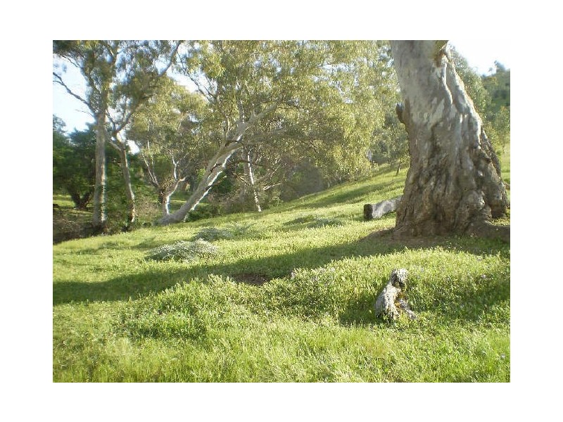 LOT 11 GAWLER ONE TREE HILL ROAD, Yattalunga SA 5114