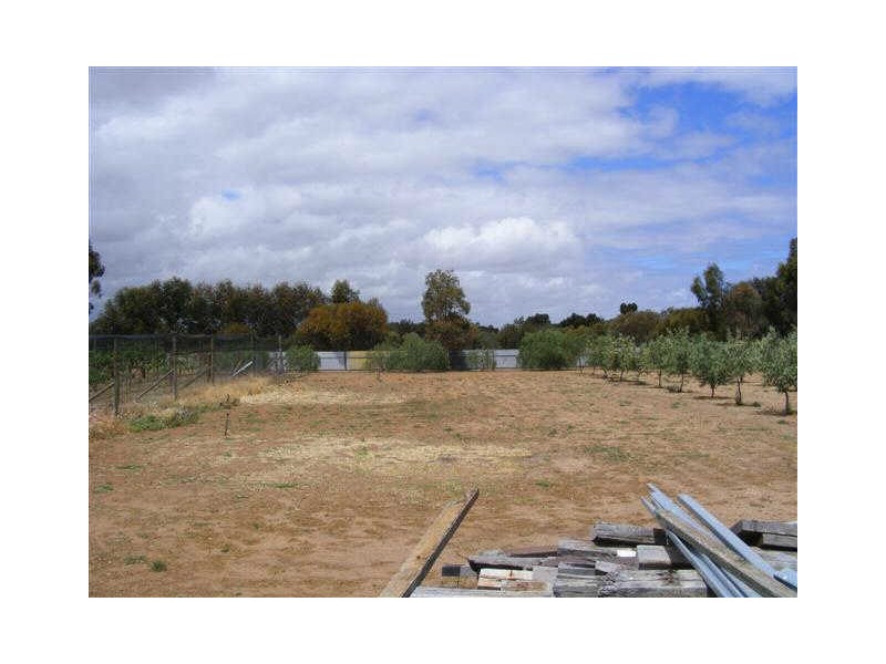 10 GEOFFREY STREET, Lewiston SA 5501