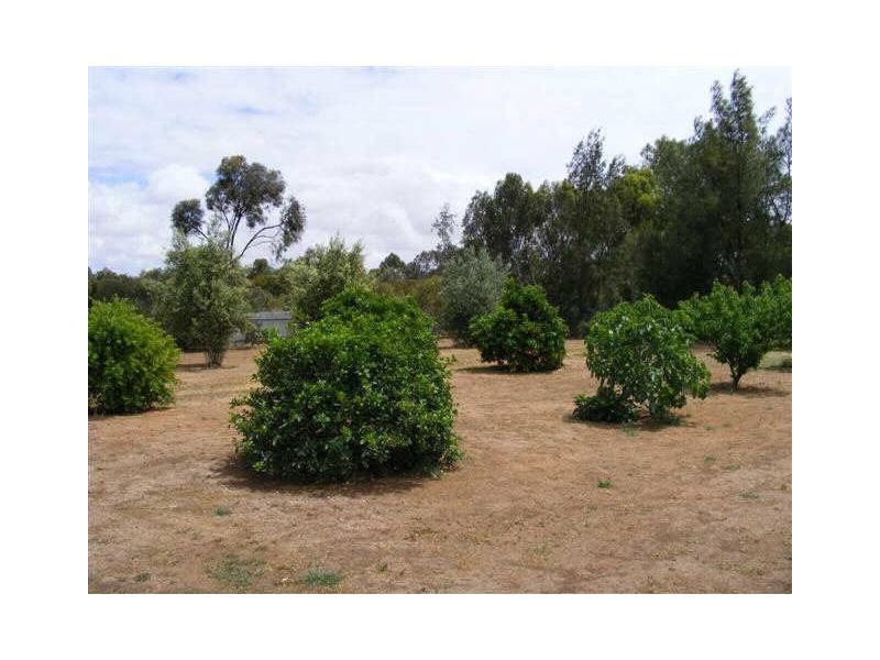 10 GEOFFREY STREET, Lewiston SA 5501