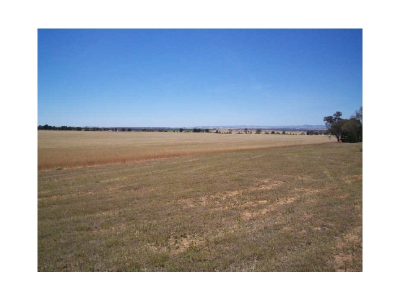 SEC 879 WOODS ROAD, Ward Belt SA 5118