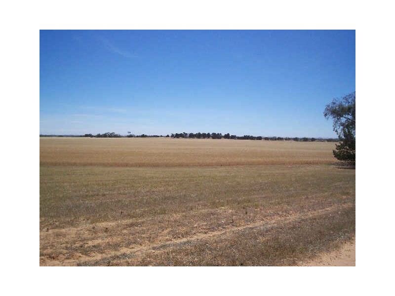 SEC 879 WOODS ROAD, Ward Belt SA 5118
