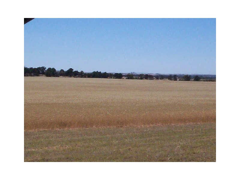 SEC 879 WOODS ROAD, Ward Belt SA 5118