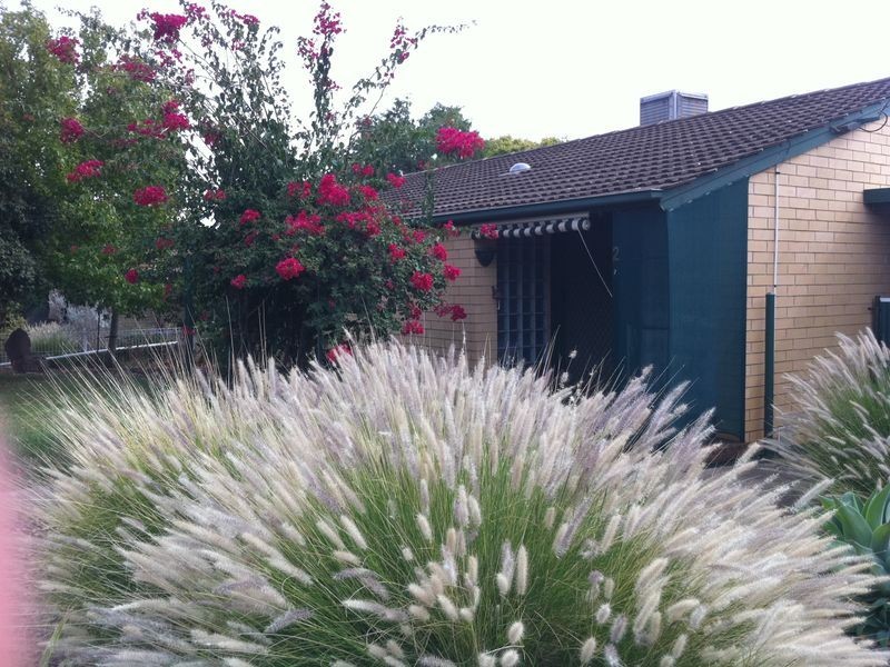 2 Dundee Street, Evanston SA 5116