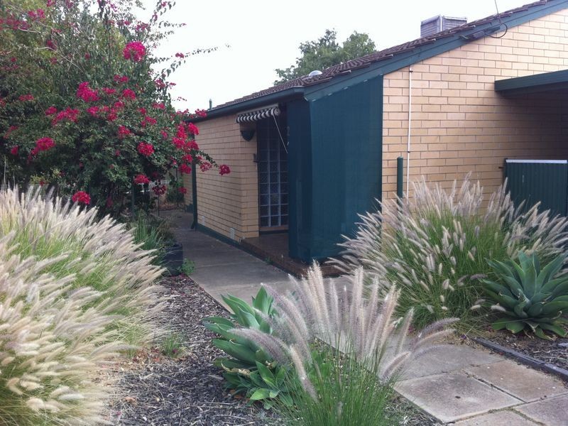 2 Dundee Street, Evanston SA 5116