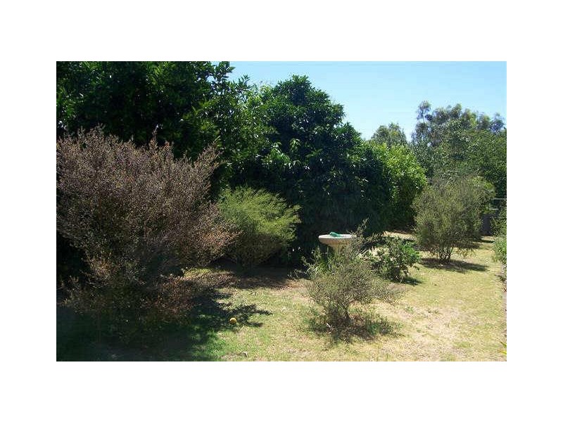 4 KLEINIG STREET, Lyndoch SA 5351