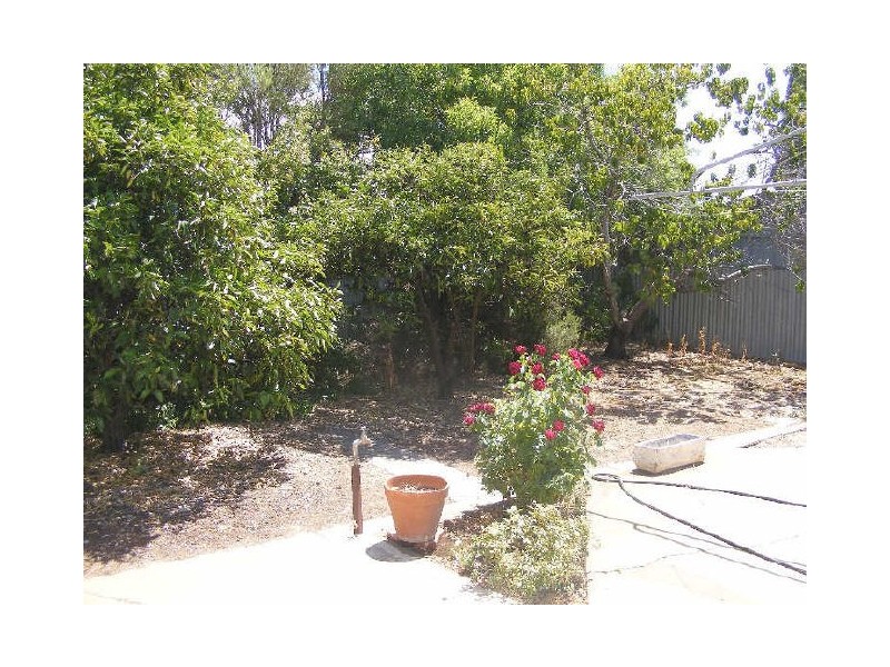 8 NOSKE STREET, Lyndoch SA 5351