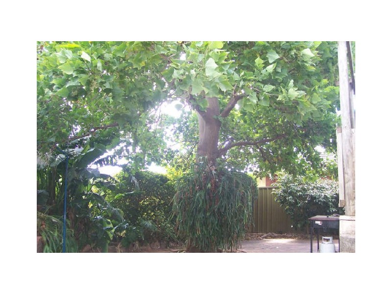 9 TREVU AVENUE, Gawler East SA 5118