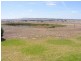 LOT 1 & 2 THIELE HIGHWAY, Freeling SA 5372