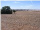 LOT 1 & 2 THIELE HIGHWAY, Freeling SA 5372