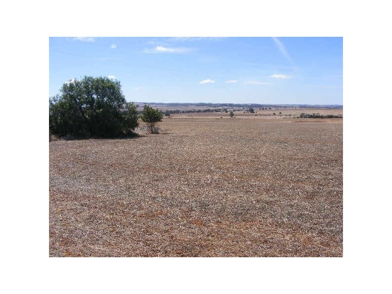 LOT 1 & 2 THIELE HIGHWAY, Freeling SA 5372