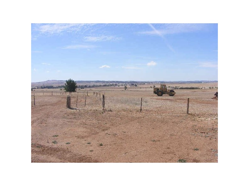 LOT 1 & 2 THIELE HIGHWAY, Freeling SA 5372