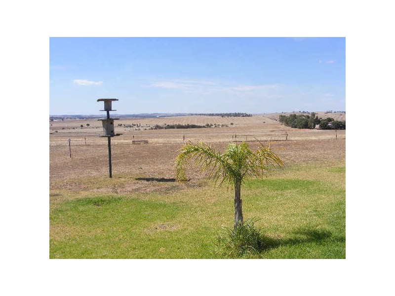 LOT 1 & 2 THIELE HIGHWAY, Freeling SA 5372