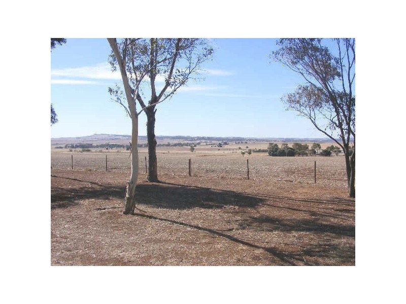 LOT 1 & 2 THIELE HIGHWAY, Freeling SA 5372