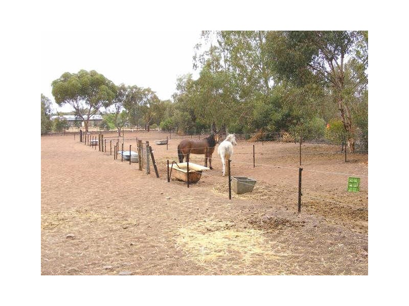 4 MARGARET ROAD, Lewiston SA 5501