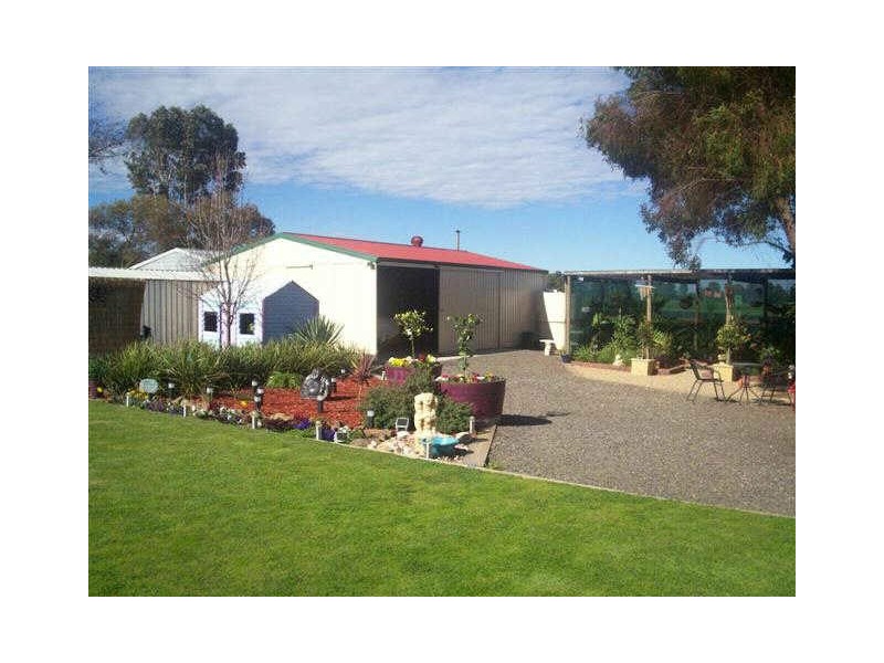 54 HANSON STREET, Freeling SA 5372