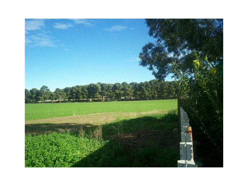 54 HANSON STREET, Freeling SA 5372