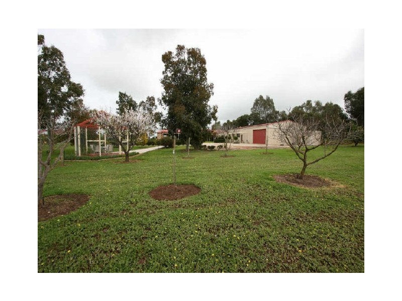 12 BARKLEY DRIVE, Gawler Belt SA 5118
