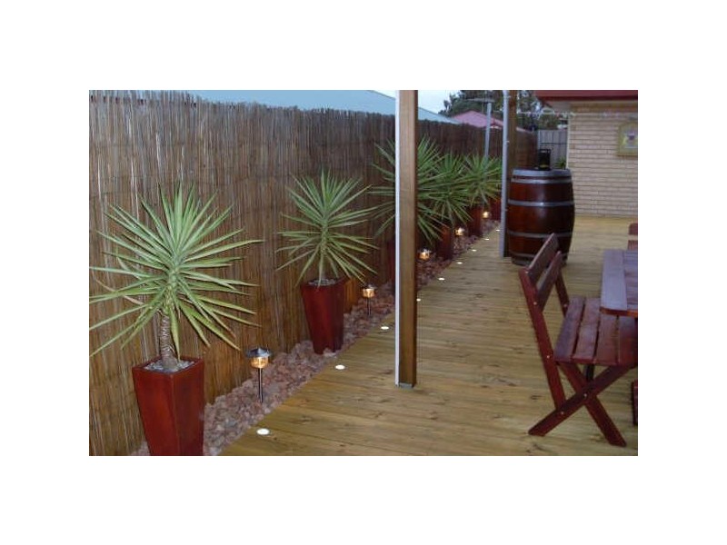 12 TONER CRESCENT, Evanston Park SA 5116