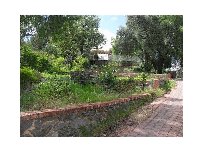 25 HIGH STREET, Gawler East SA 5118