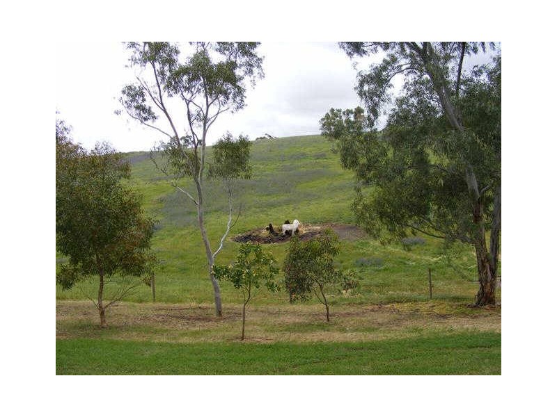 LOT 13 VINEY DRIVE, Uleybury SA 5114