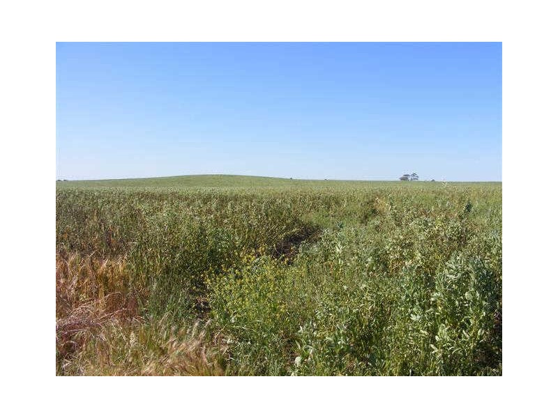 SEC 873 PARKERS ROAD, Ward Belt SA 5118