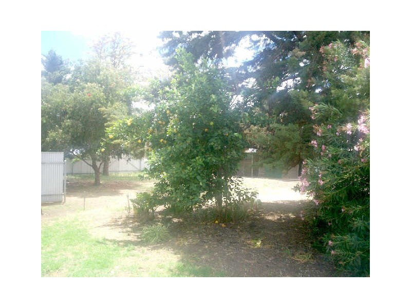 LOT 11 JOHNS ROAD, Lewiston SA 5501