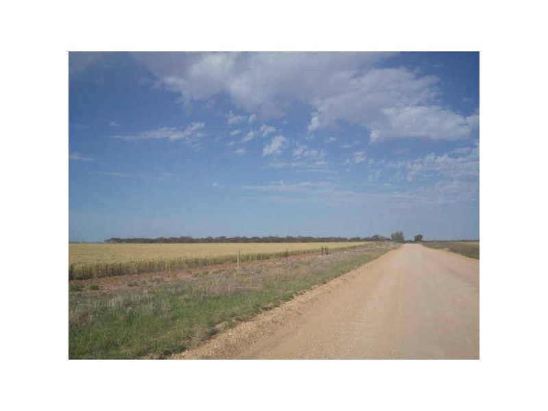 SEC 595 CNR CAWRSE & EARL ROADS, Mallala SA 5502