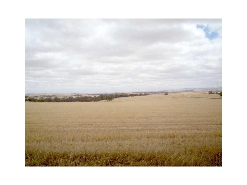 LOT 103 FYFE ROAD, Linwood SA 5410