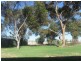 LOT 25 PRATT ROAD, Wasleys SA 5400
