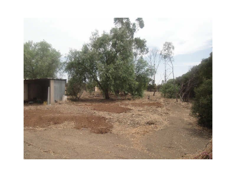 13 JUDD ROAD, Lewiston SA 5501