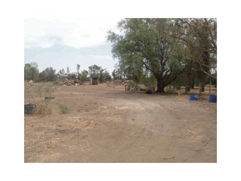 13 JUDD ROAD, Lewiston SA 5501