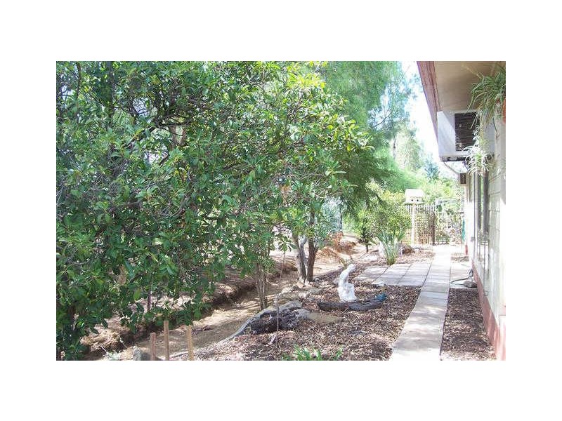 178 CAUSARINA STREET, Hillier SA 5116