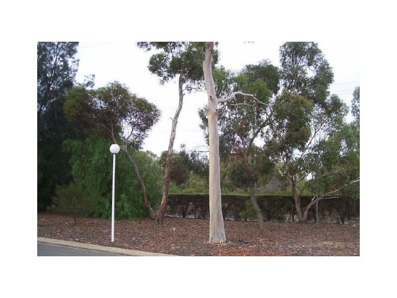 6 FIRST STREET, Hillier SA 5116