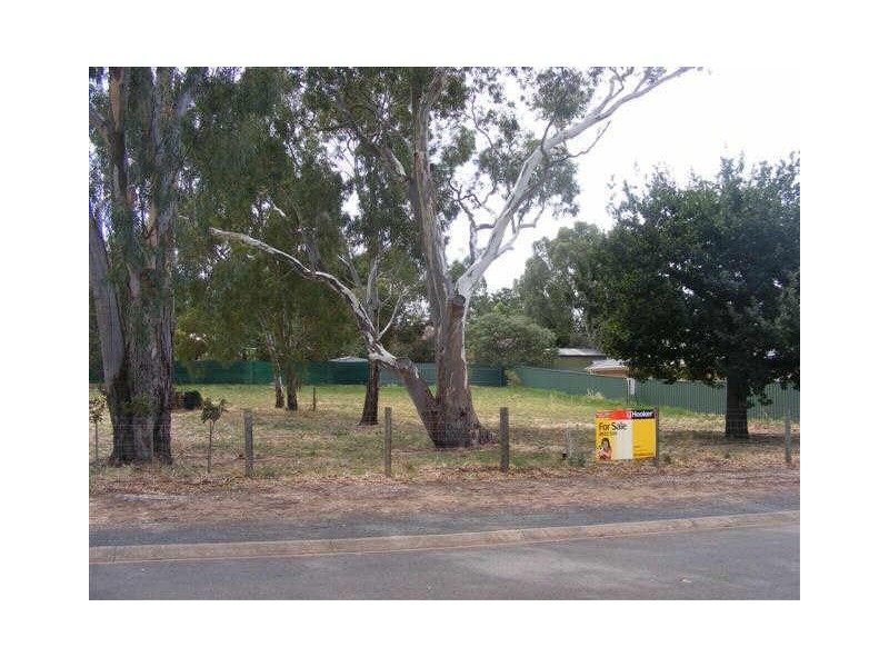 14 BITTER CRESCENT, Lyndoch SA 5351