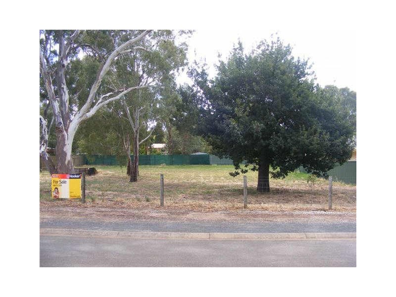 14 BITTER CRESCENT, Lyndoch SA 5351