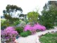 10 PURCELL GROVE, Evanston Park SA 5116