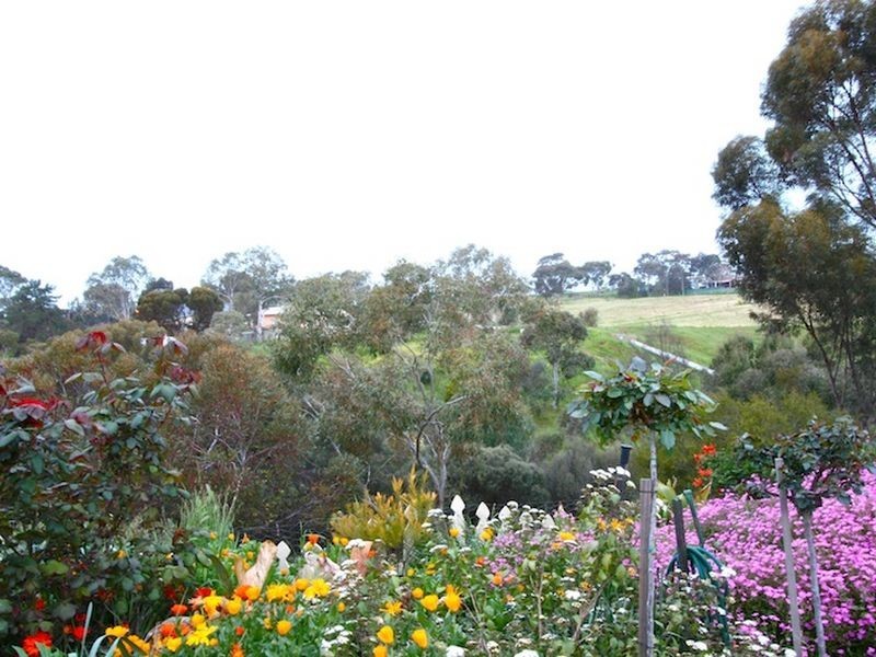 10 PURCELL GROVE, Evanston Park SA 5116